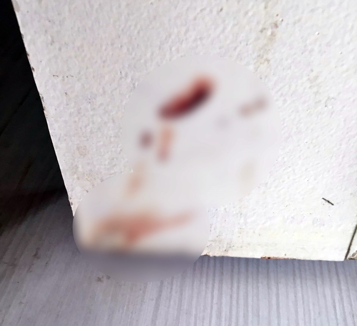 istanbul-kadin-cinayeti