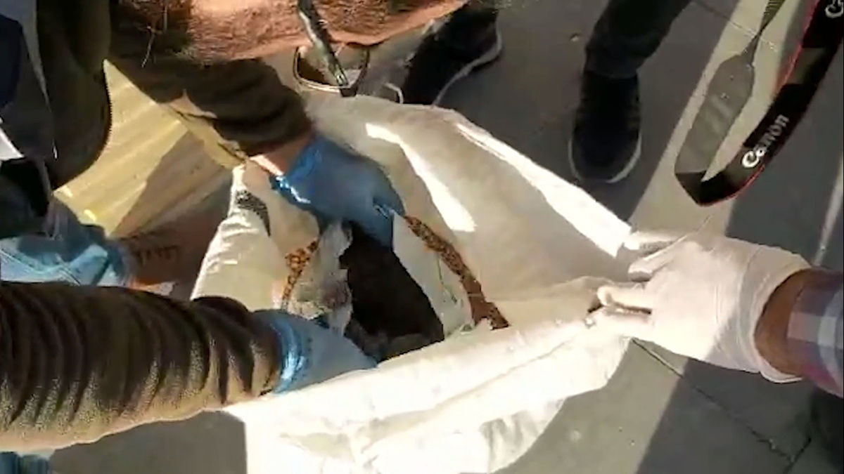 nohut-cuvalina-sarili-silahlar