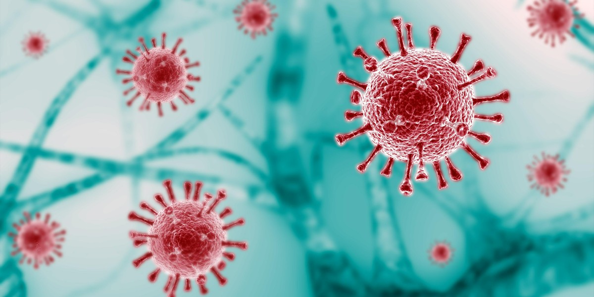 2022/10/31/covid-19-yeni-varyant-488238