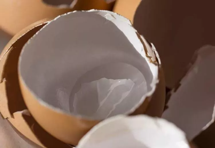 5c8d548707291c1d7402be11