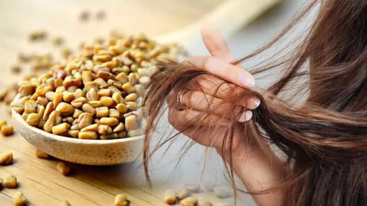 cemen-otu-saca-faydalari-nelerdir-cemen-otu-sac-cikarir-mi-seyrek-saclarda-uygulanan-1634886062-3981