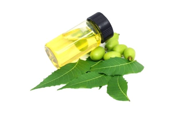 neem-yagi-nedir-faydalari-nelerdir