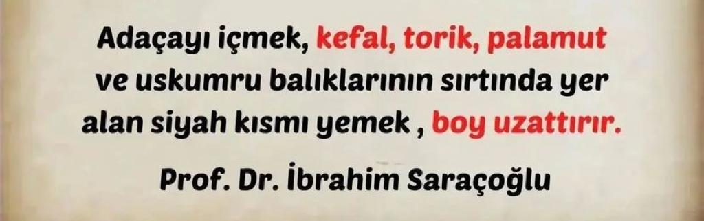 whatsapp-image-2022-11-07-at-15-24-36