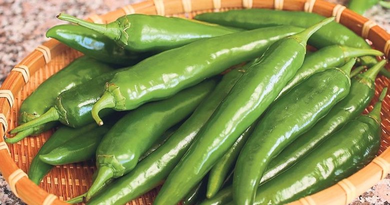 780x411-1628357284210