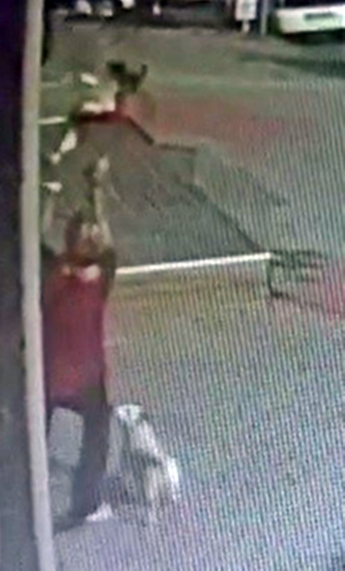 balkondan-dusen-kopegini-havada-yakaladi-2