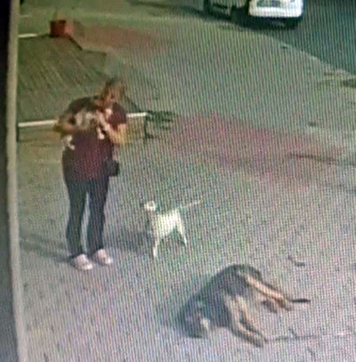 balkondan-dusen-kopegini-havada-yakaladi-4