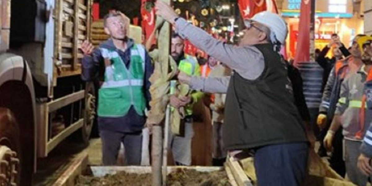 İstiklal Caddesi Ağaçlar