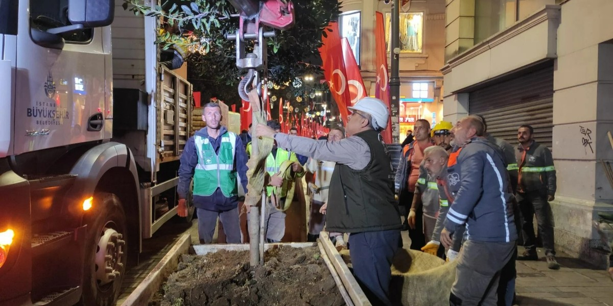 İstiklal caddesi ağaçlara ne olacak