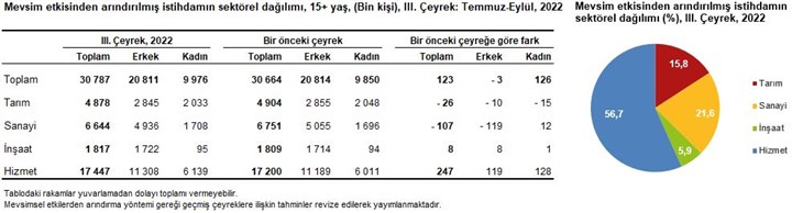 tuik-verileri-genis-tanimli-issizlik-ucuncu-ceyrekte-yuzde-20-9-seviyesinde-1088009-1