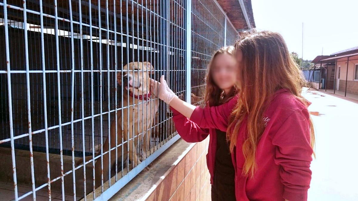 umraniye-hayvan-barinagina-nasil-gidilir-ziyaret-saatleri