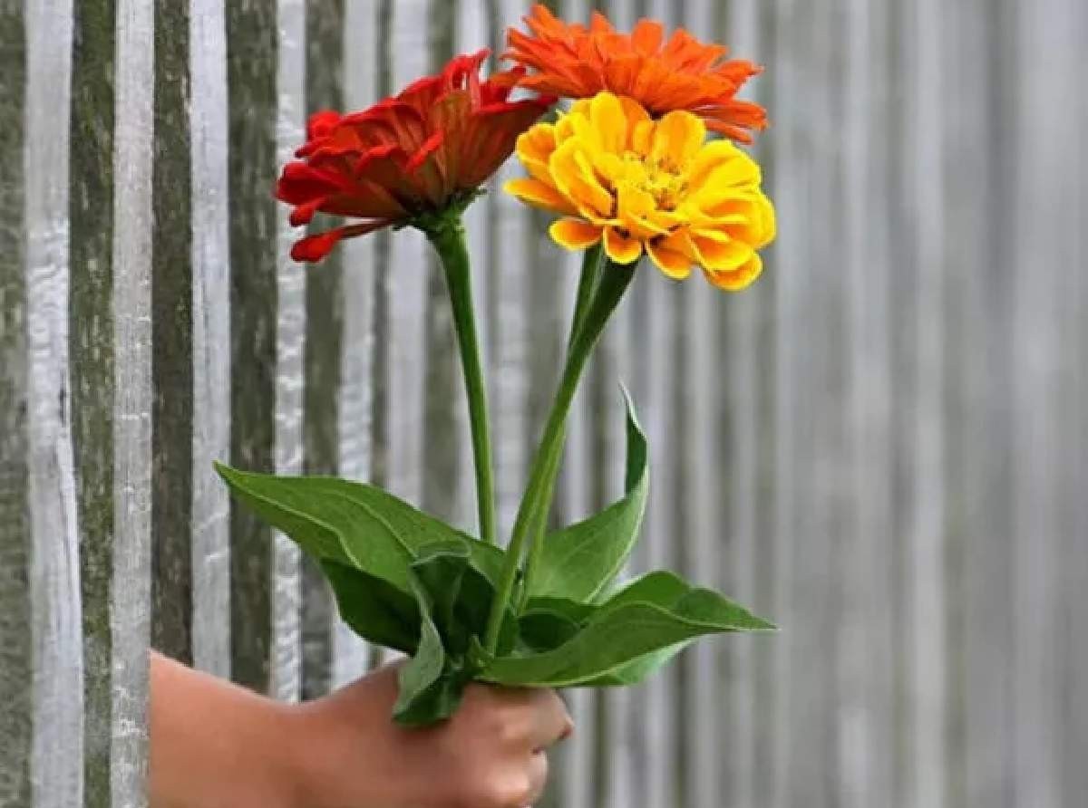 ÖĞRETMENLER GÜNÜ ŞİİRİ