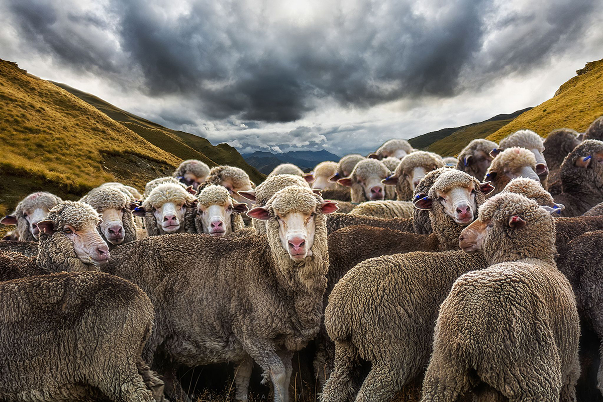 a9ec782b411f9fbd3736e195b461fb40