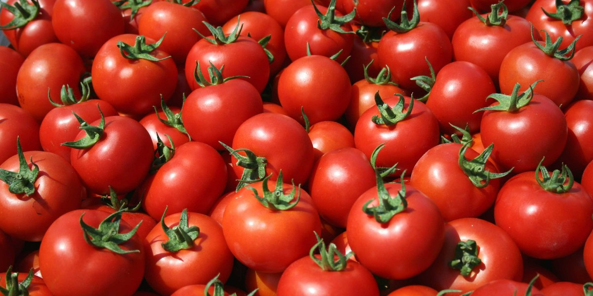 domates