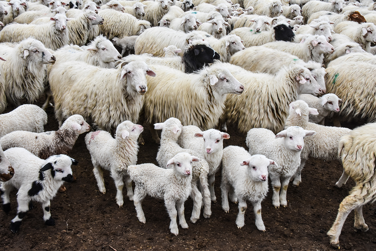 hans-heiner-buhr-oke4q8azvnu-unsplash-1