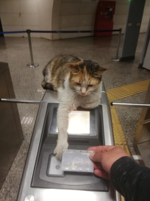 ekran-goruntusu-2022-11-24-160000