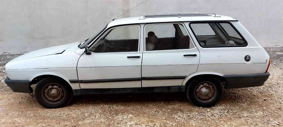 park-halindeki-araci-iterek-caldilar-2