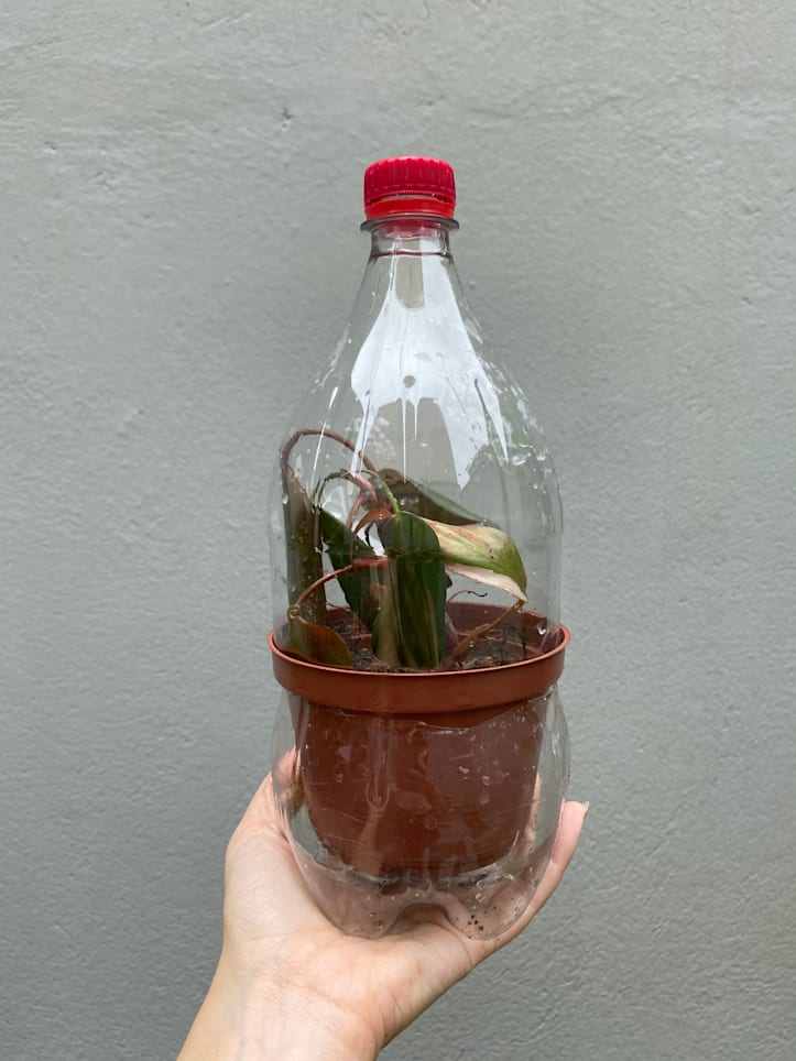 zfrtbbbetmbn1mnym6eo