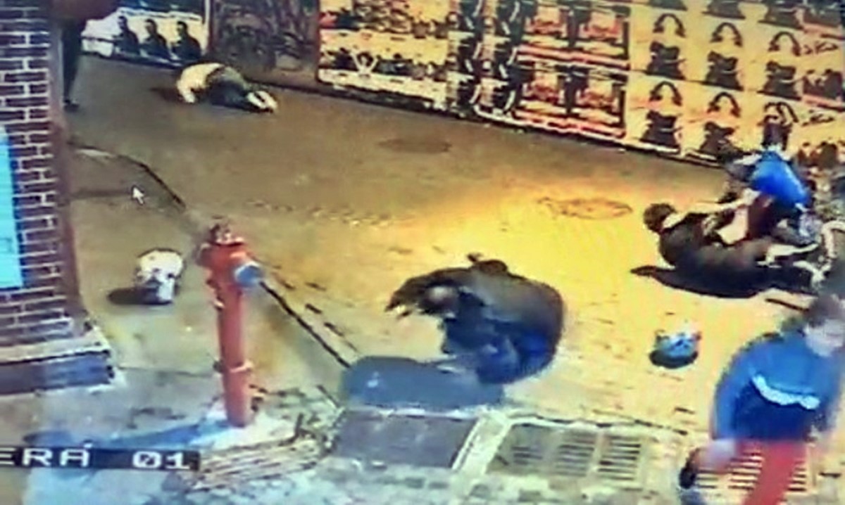 istanbul-besiktas-asayis