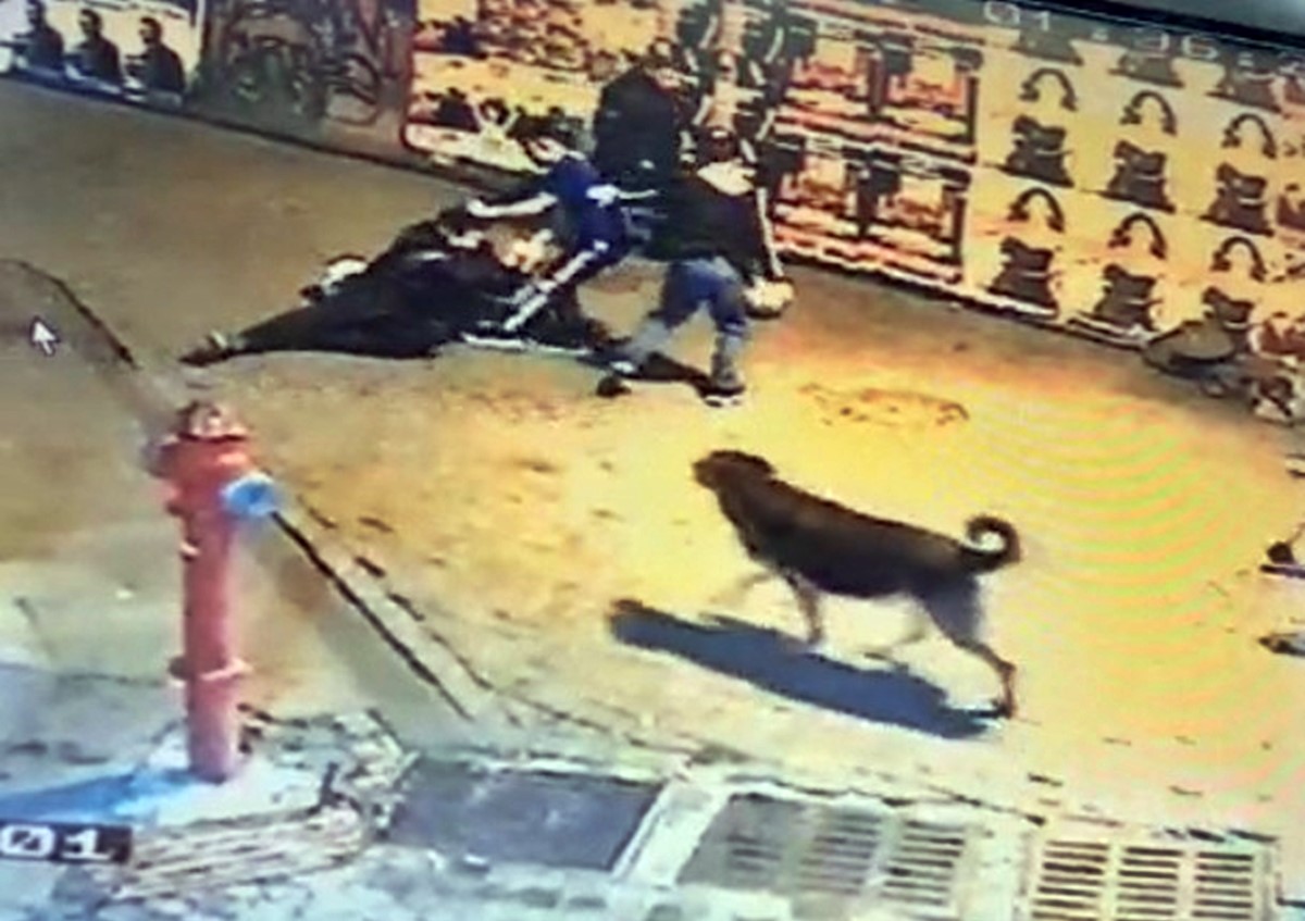 istanbul-besiktas-bicakli-saldiri