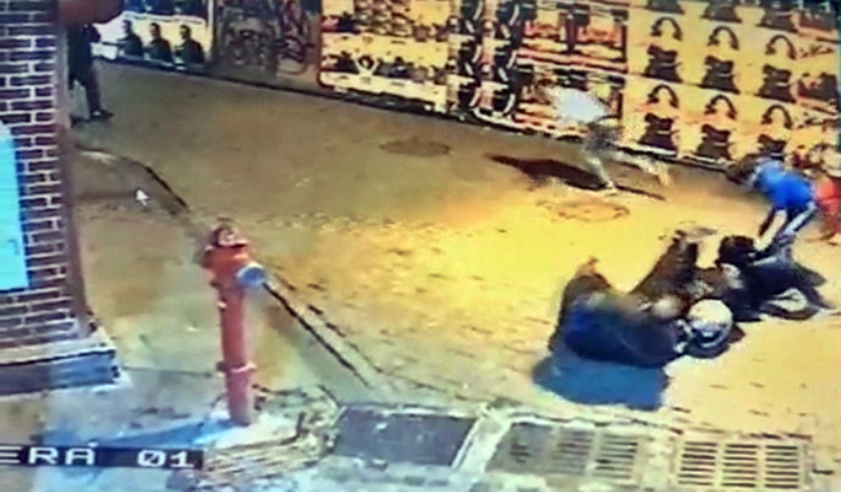 istanbul-besiktas-kavga