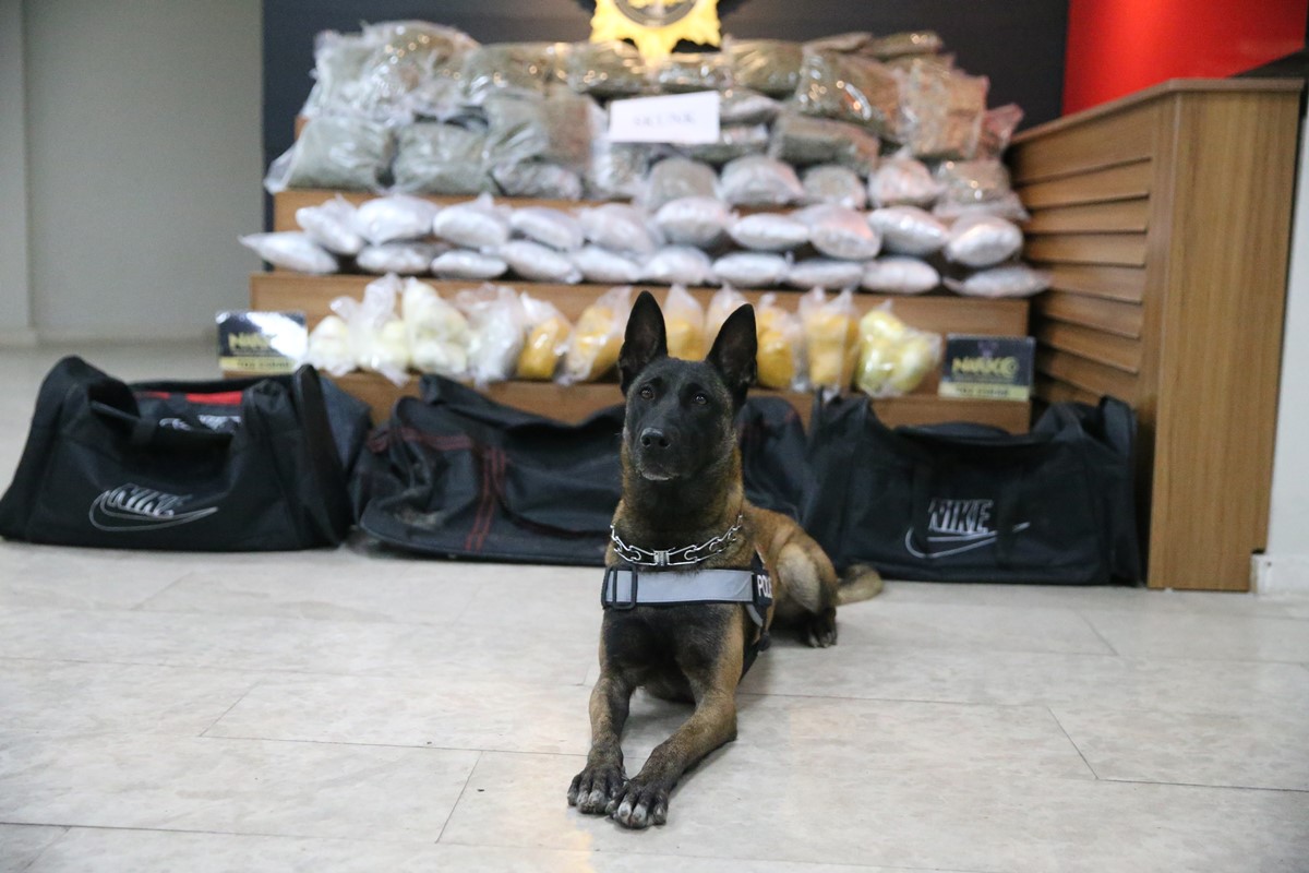 sanliurfa-uyusturucu-operasyonu-5