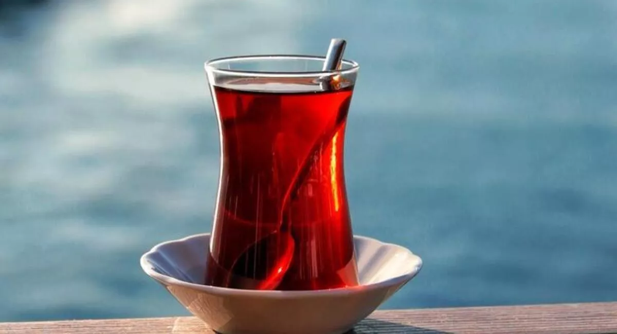 6348fbfd2af10711fca4667c