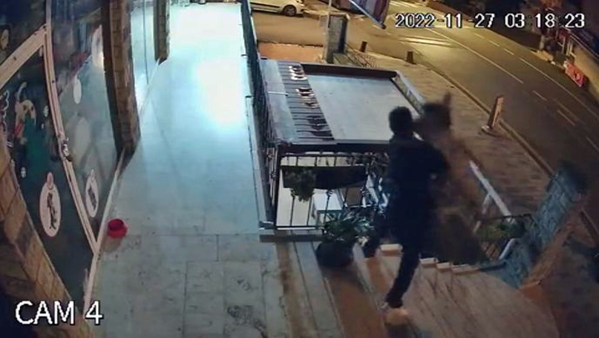 istanbul-sariyer-kopege-iskence-2