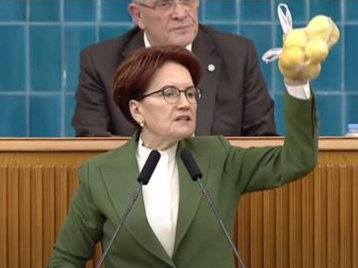 meral-aksener-tbmm-13