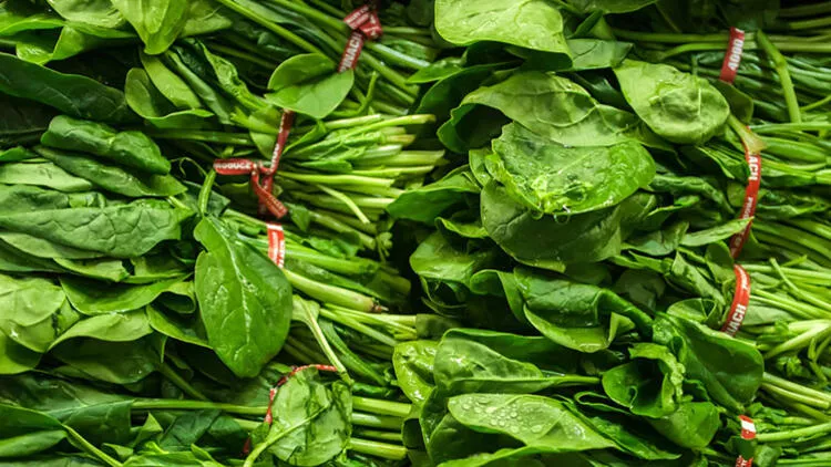 5dc16e270f25440ab4fc3000