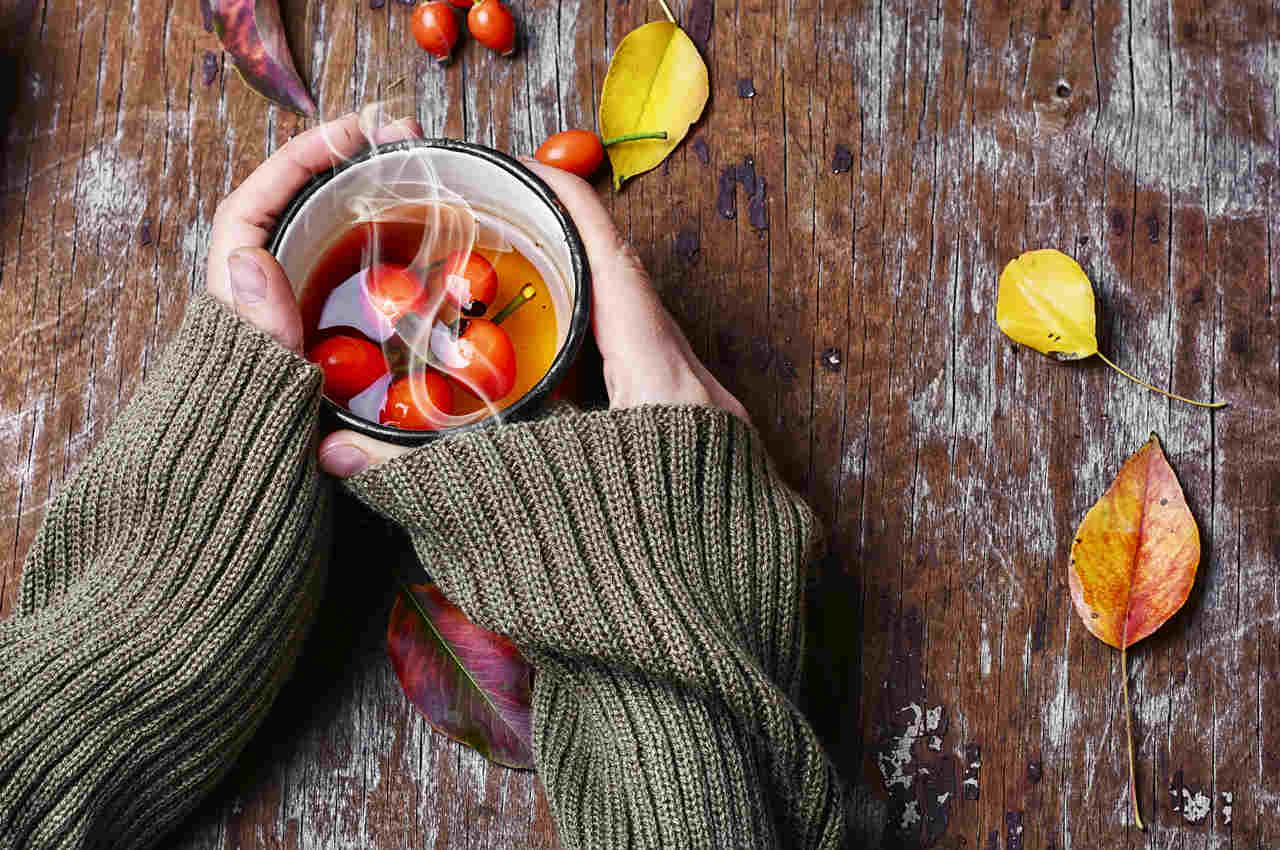 rose-hips-tea-with-berries.jpg