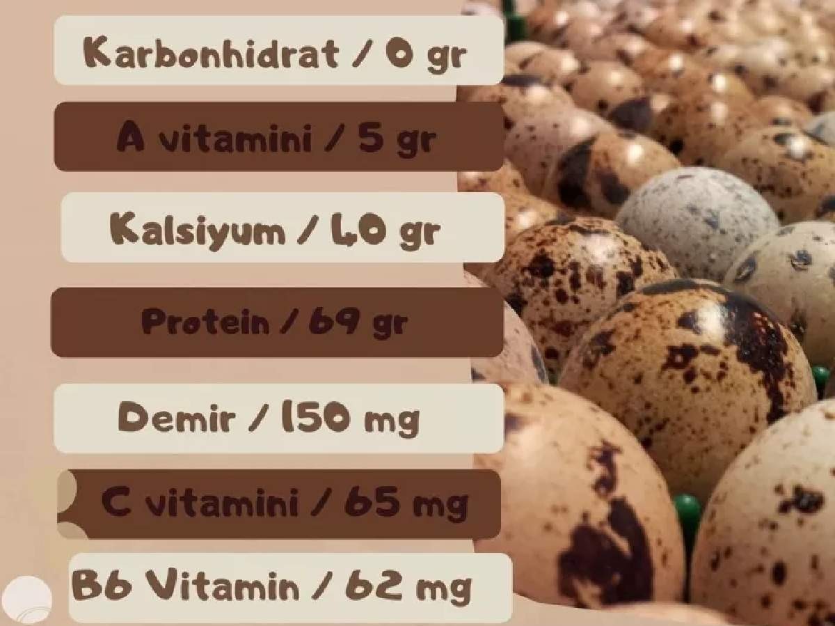 bıldırcın yumurtası faydaları