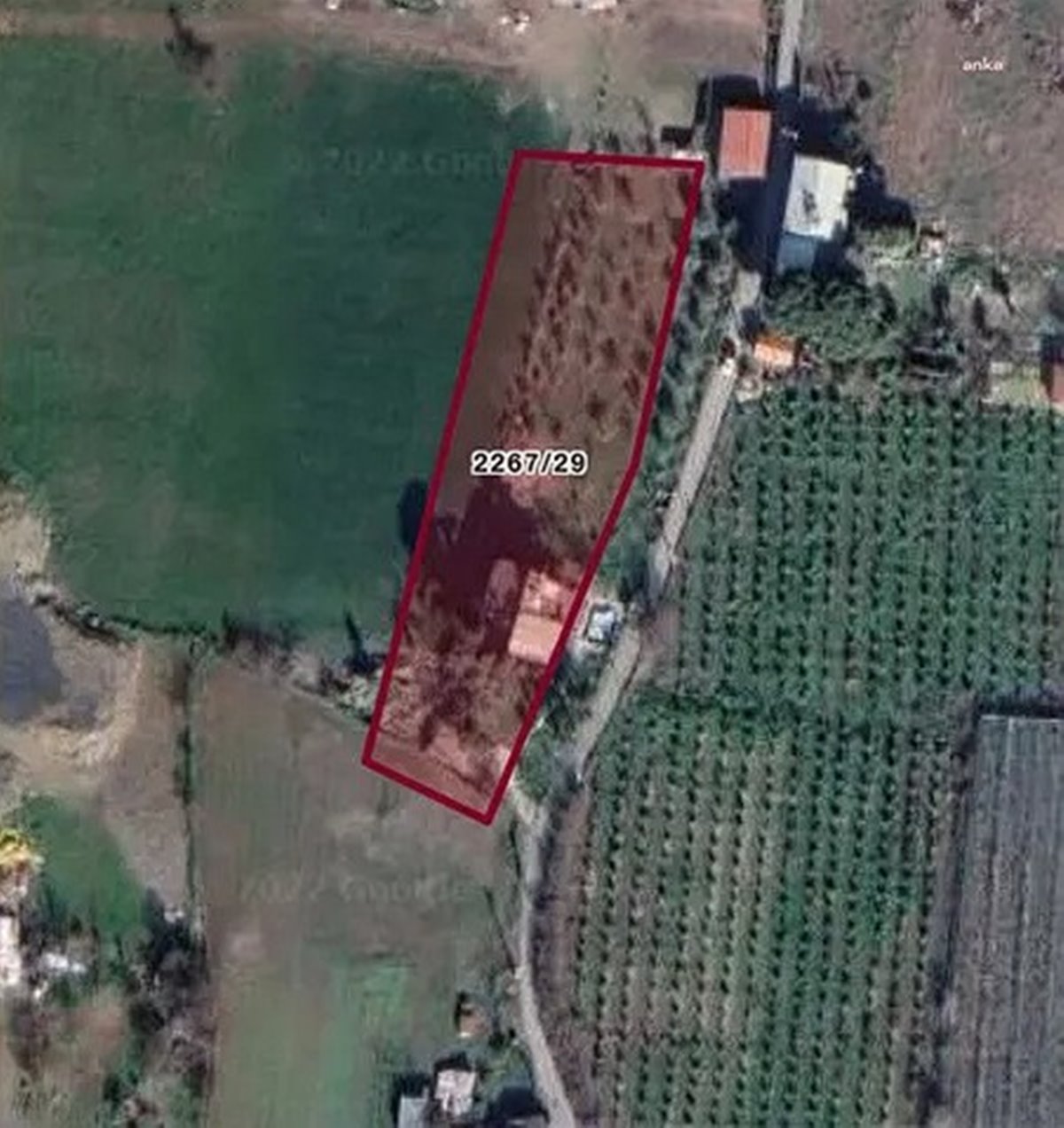 izmirde-ogrenci-yurdu-yapilmasi-sartiyla-bagislanan-inciraltindaki-arazi