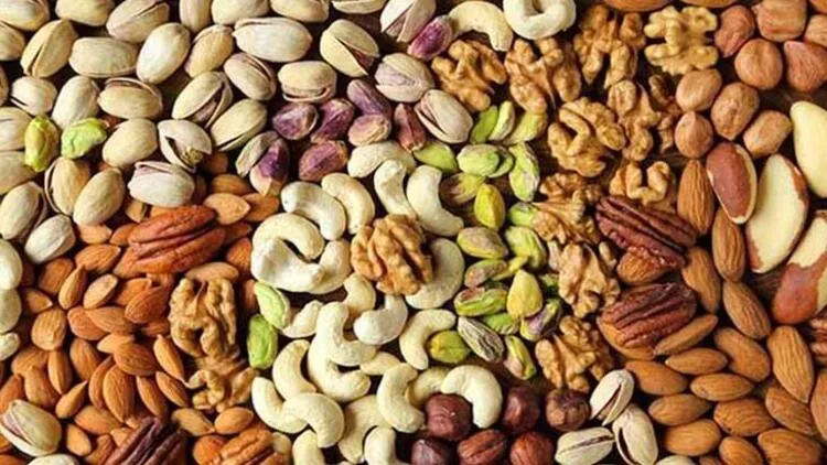 5f5613c555428411c4aa26ca