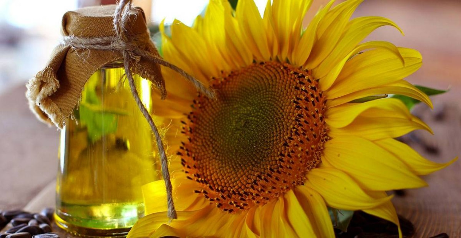 Ayçiçek yağı rekor zam