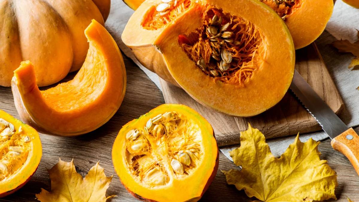 kmgfgfgf-2022-12-06t123055-198