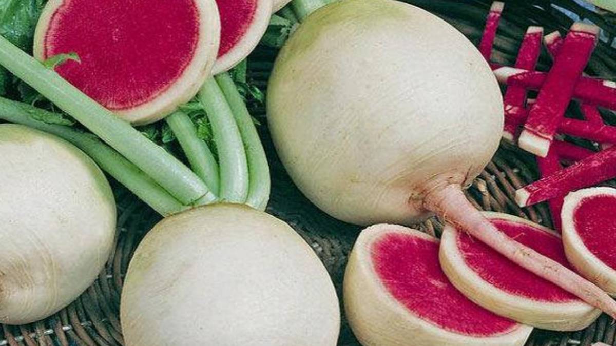 kmgfgfgf-2022-12-08t100032-609