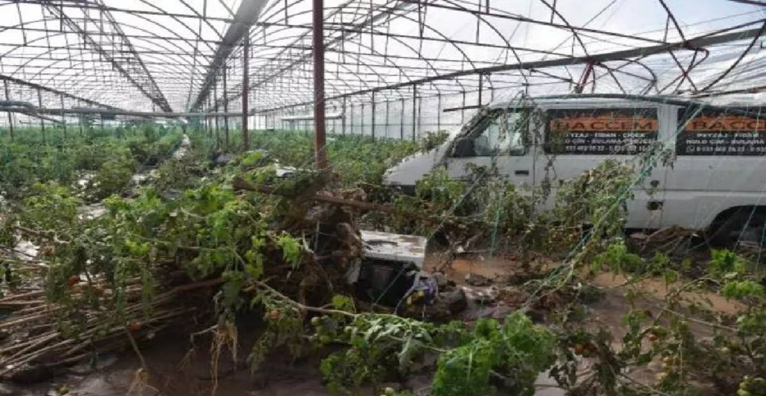 Çiftçilerin zararı büyük