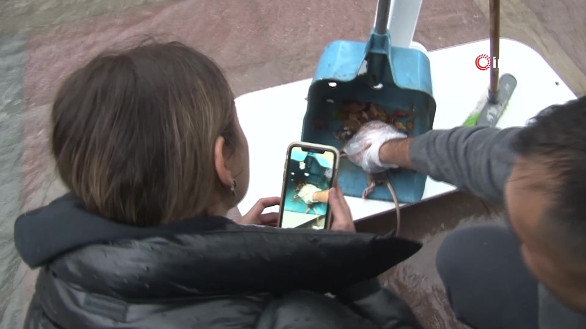 fareye-kalp-masaji-yapti-4