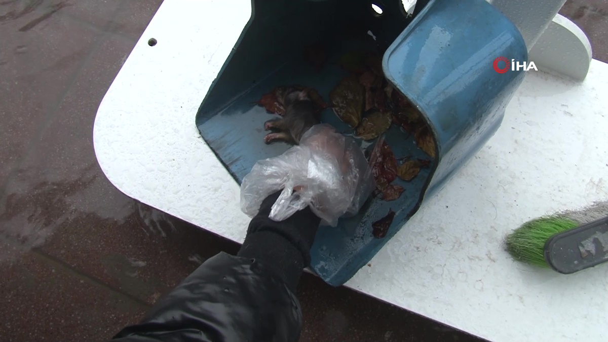 fareye-kalp-masaji-yapti-7