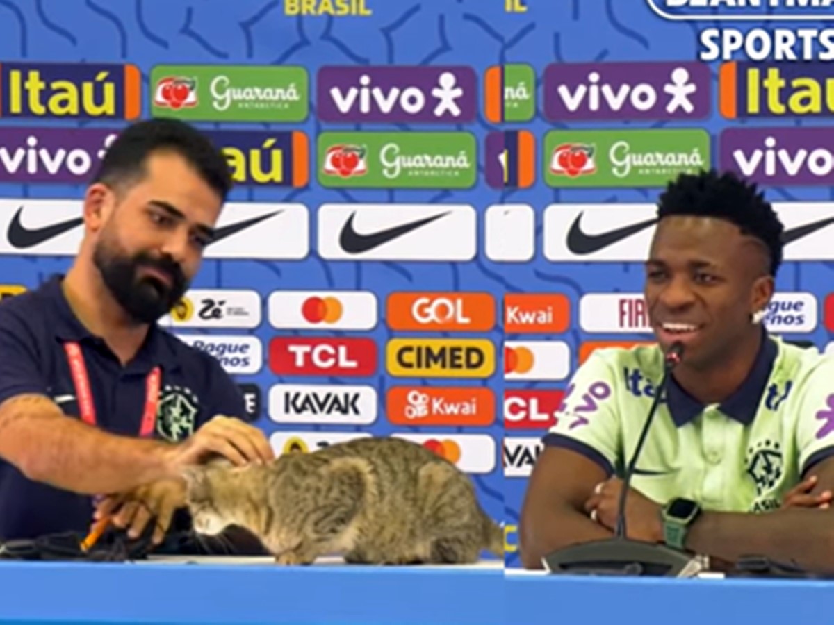 brezilya-kediyi-tutup-yere-firlatti-1