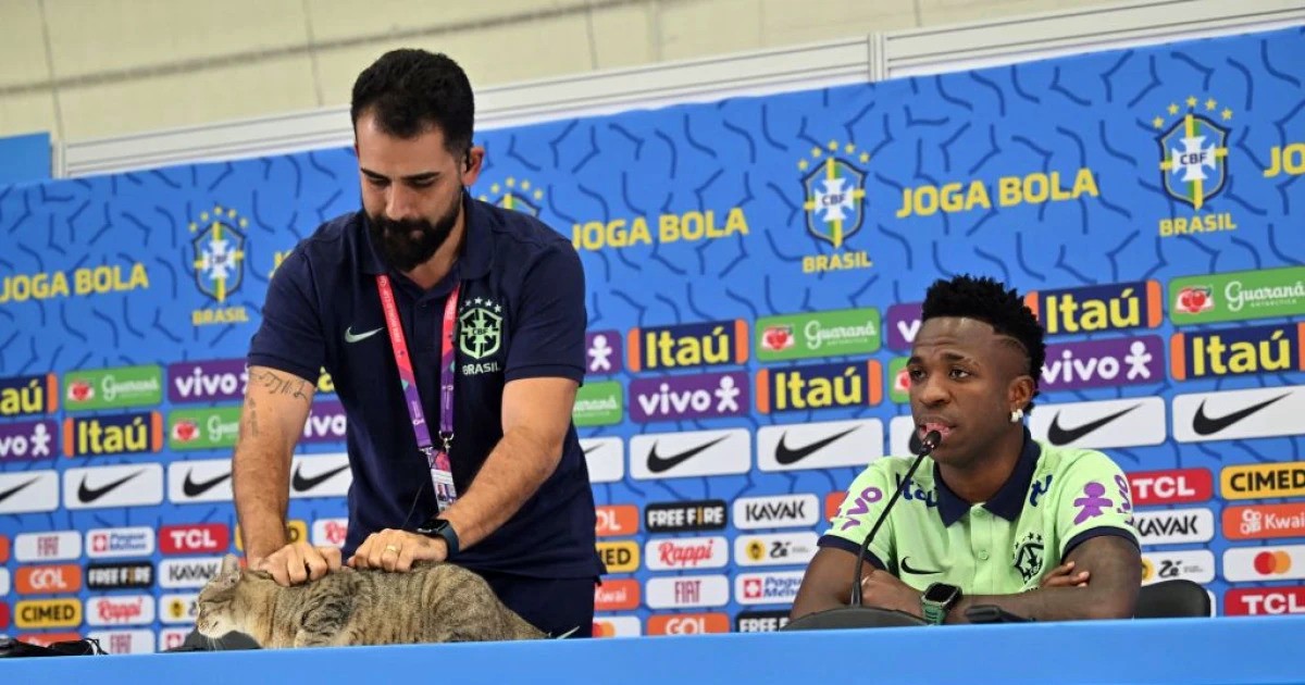 brezilya-kediyi-tutup-yere-firlatti-2