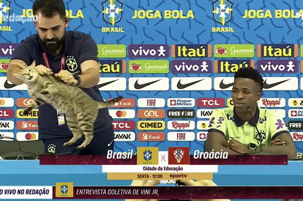 brezilya-kediyi-tutup-yere-firlatti-4