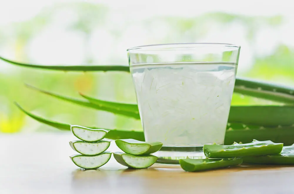 aloe-vera-suyu-2