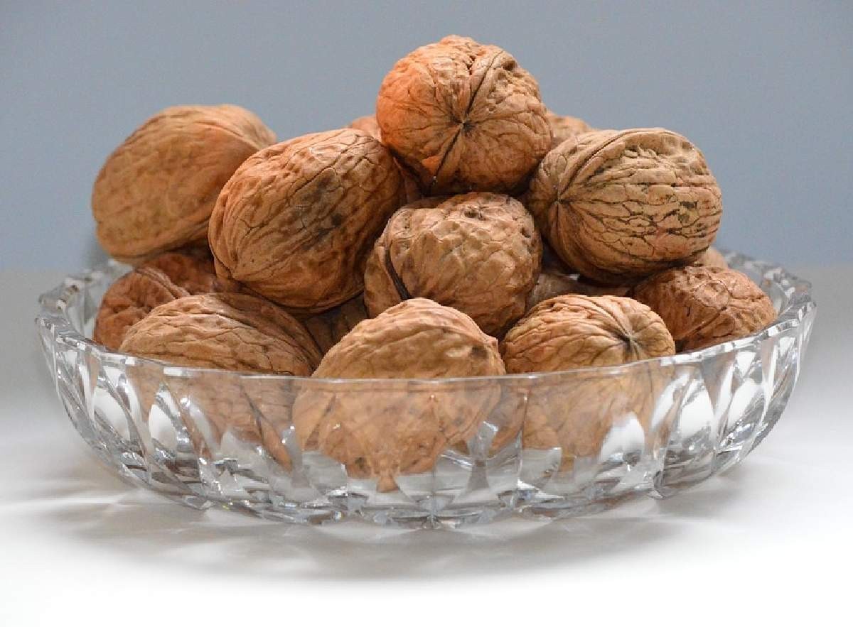 ceviz kabuğu faydaları