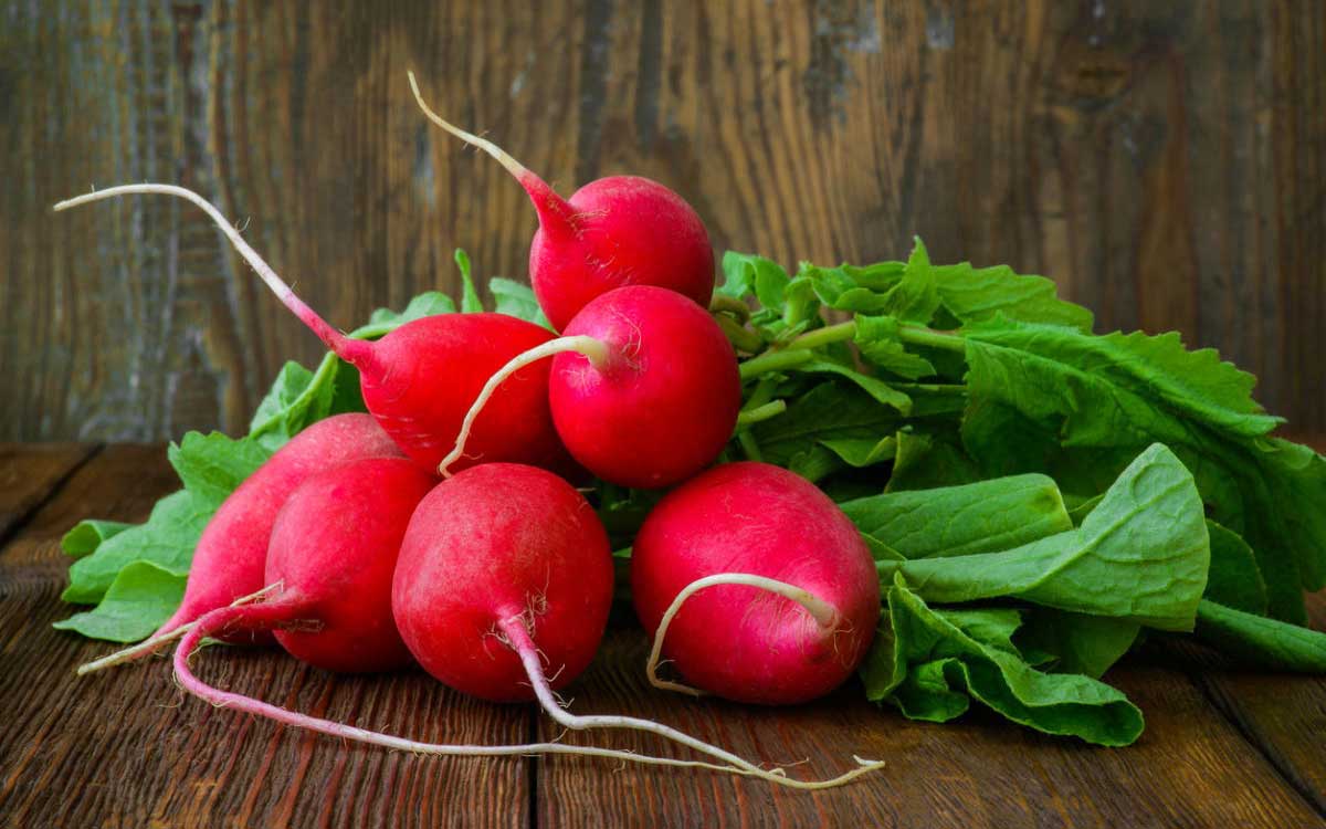 turp-neye-iyi-gelir-faydalari-nelerdir