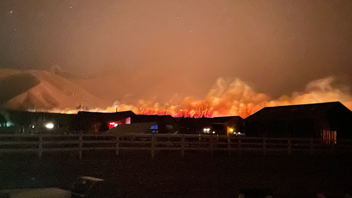 dogal-afet-orman-yangini