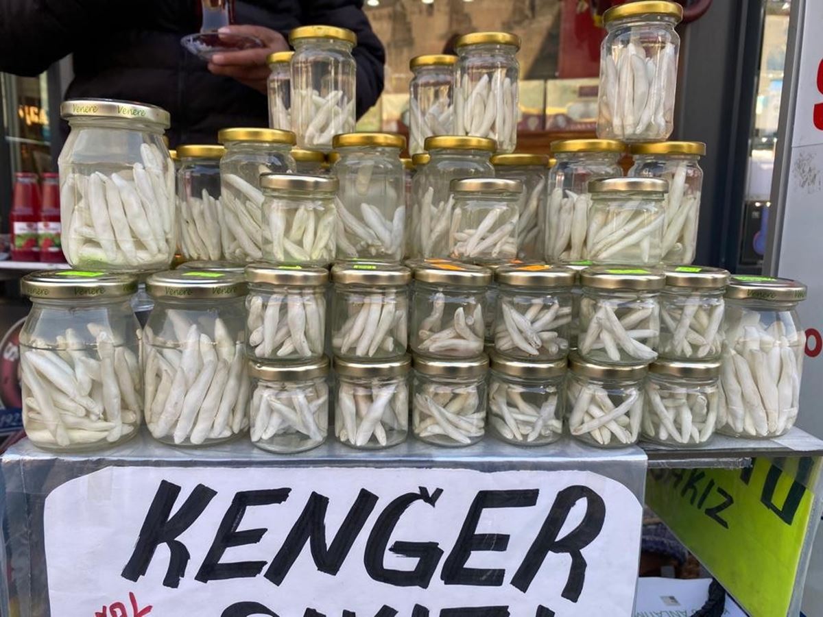 kenger-sakizi-faydalari-neler