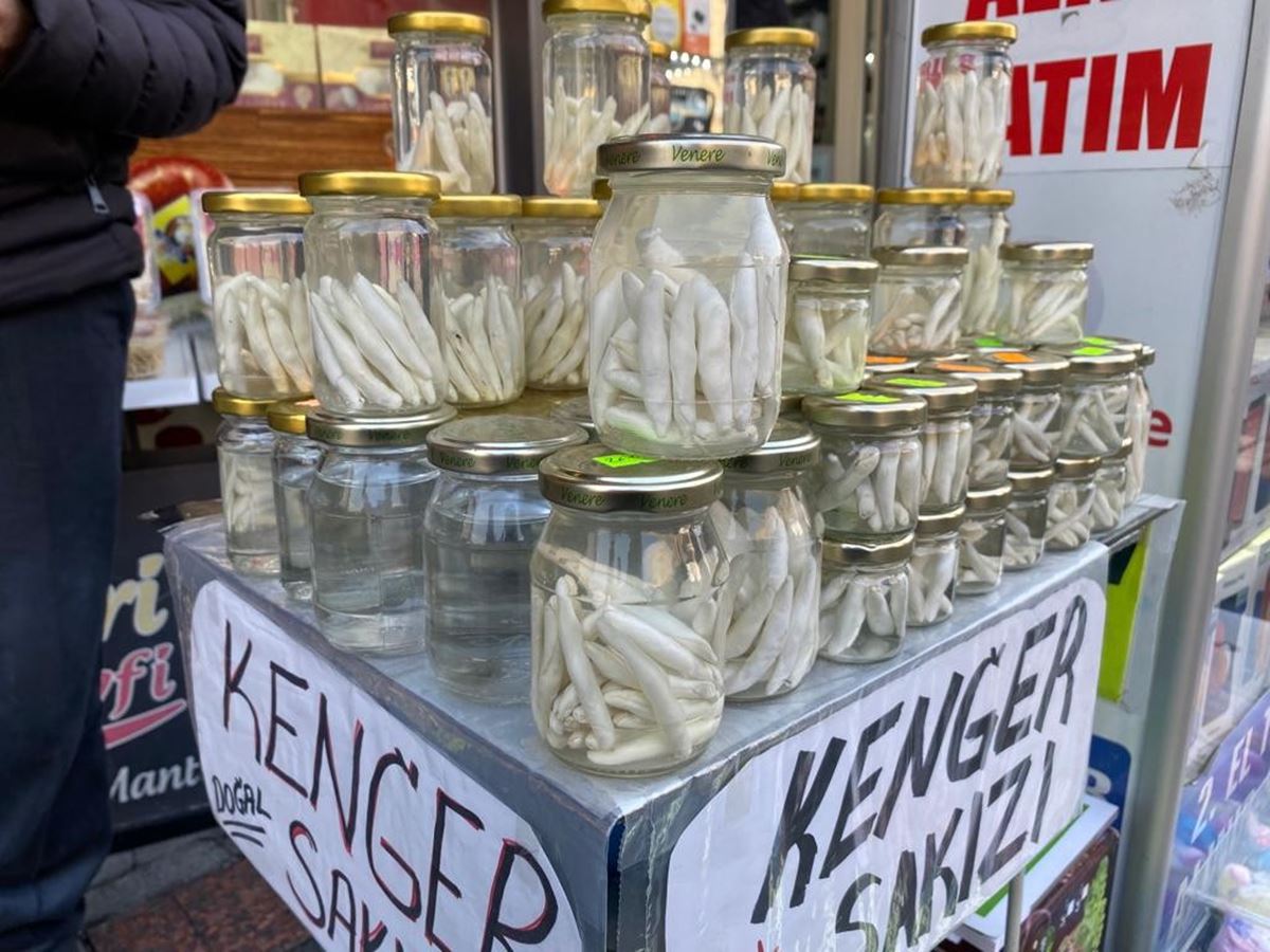 kenger-sakizi-faydalari