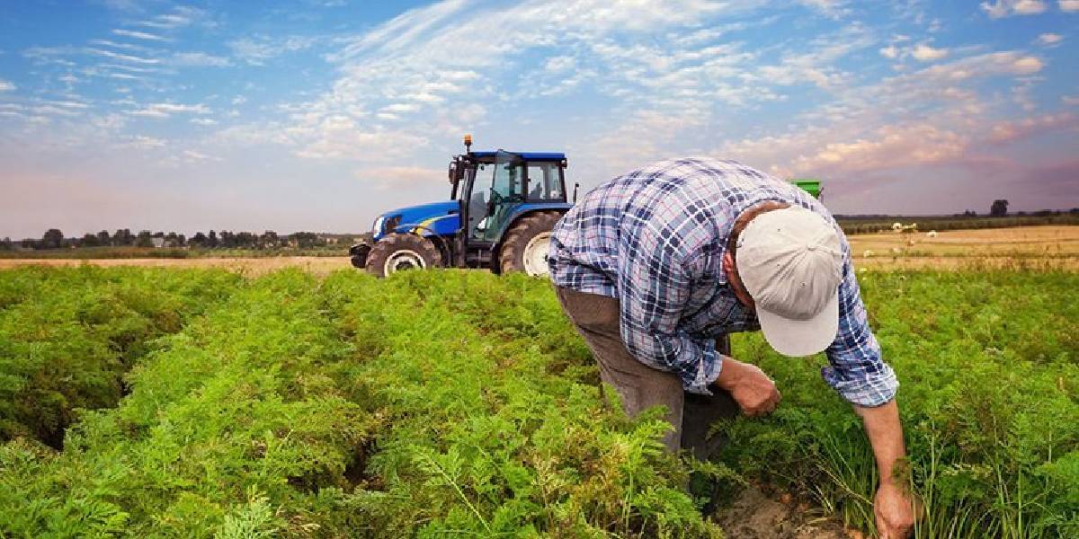 ciftci-destek-basvurulari-1