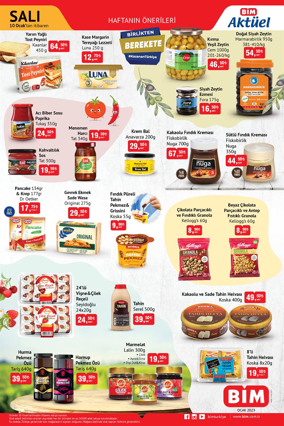 82e2f242-19f2-4f36-8af8-41ef739add4f